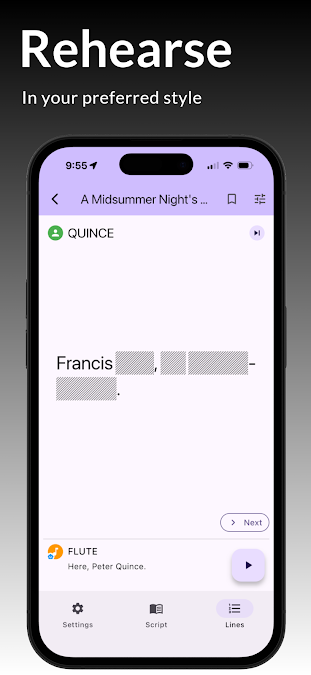 Playback controls and rehearsal timeline